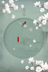 pr九天狐科技升级版